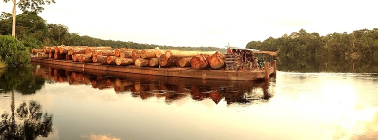 COTREFOR ranks among the Congolese leaders of the timber industry
